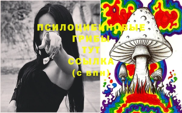 тгк Сосновка