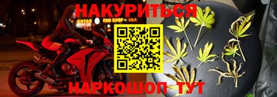spice Бийск