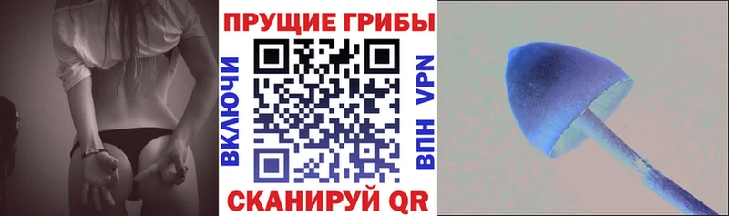 Галлюциногенные грибы MAGIC MUSHROOMS  купить наркоту  MEGA ссылка  Вольск 