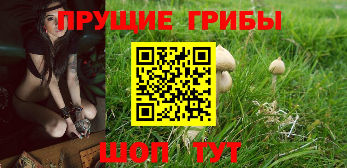 Галлюциногенные грибы GOLDEN TEACHER  Вход с VPN  Вольск 